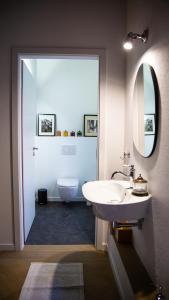 MottoCasa Gatti BnB Gastronomia e Benessere的一间带水槽、卫生间和镜子的浴室