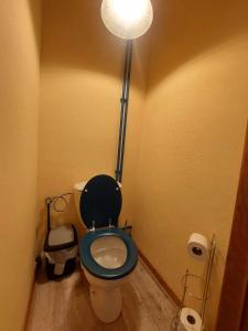 拉罗什-阿登Le Vieux La Roche的浴室设有蓝色座椅和灯,配有卫生间。