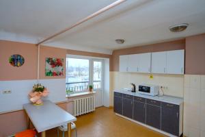 基辅珀多斯基旅舍的厨房配有柜台、桌子和窗户