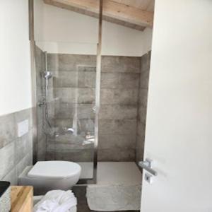 卡伊罗蒙泰诺泰Ca' Brichella的一间带卫生间和玻璃淋浴间的浴室