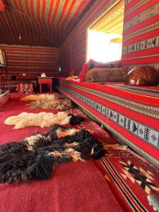 瓦迪拉姆Mohammed Wadi Rum Camp的一间设有床铺的房间,地板上铺有地毯