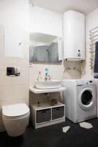 LielvārdeDzīvoklis Kastaņas的浴室配有盥洗池、卫生间和洗衣机。