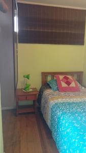 维纳德马Casa en Viña del Mar的一间卧室配有一张床和一张带台灯的桌子