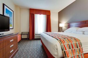 格林维尔格林维尔德鲁里酒店的配有一张床和一台平面电视的酒店客房