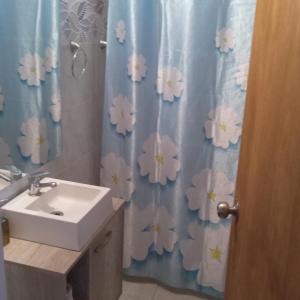 FloridaHostal DOÑA EMMA的浴室设有水槽和鲜花淋浴帘