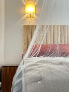 大博格Karukera lodge , Résidence Blue Dream的一间卧室配有一张带蚊帐的床