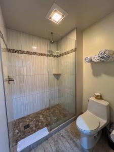 旧金山格林威治酒店的带淋浴和卫生间的浴室