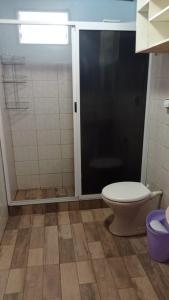 伊瓜苏港Parana house的一间带卫生间和玻璃淋浴间的浴室