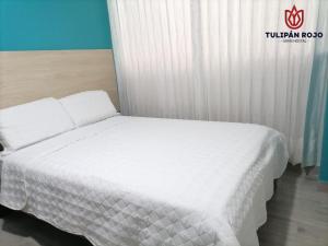 LambayequeHostal Tulipán Rojo的卧室配有白色的床