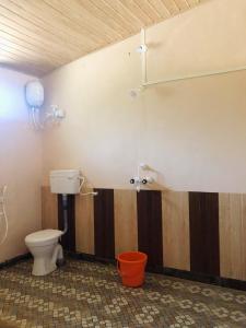 戈卡尔纳Blue Lagoon Redefined的一间带卫生间和淋浴的浴室