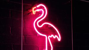 马尔默MJ酒店的墙上火烈鸟的 ⁇ 虹灯