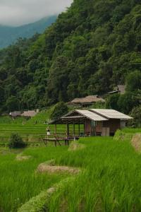Ban Mae Pan Noiบ้านพักชิปู ป่าบงเปียง的山地草场的房子