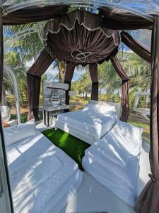 The Coco Journey - Eco Dome