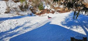 阿列谢尼Cabana din Vale Arieseni Apuseni的骑着滑雪板沿着雪覆盖的斜坡滑雪的人