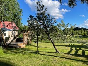 波尔沃Romantic cottage with sauna的一座建筑物旁的草木