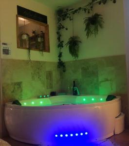 马孔Séjour détente centre historique de MACON avec spa的浴室设有紫色灯和浴缸