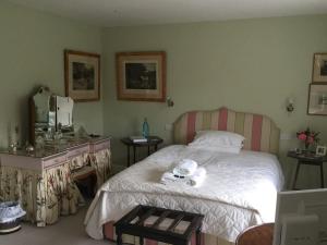 谢伯恩Clare Cottage的一间卧室配有一张带梳妆台和镜子的床