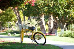 拉昆塔La Quinta Resort & Club, Curio Collection的停在公园草地上的一辆黄色自行车
