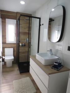 桑坦德Apartamento AIRES DEL NORTE, con WiFi gratis的一间带水槽、卫生间和镜子的浴室