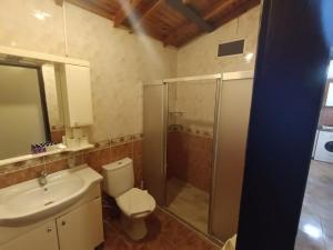 费特希耶鸽子公寓式酒店的浴室配有卫生间、盥洗盆和淋浴。
