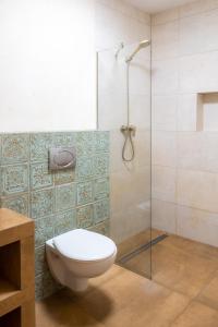 克拉科夫BlissHouse Cracow的一间带卫生间和玻璃淋浴间的浴室