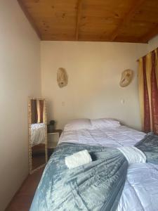托托拉里约Habitación Matrimonial en Totoralillo Glamping的卧室配有一张床,墙上设有镜子
