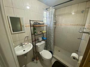 戴维Acogedora vivienda anexa en un barrio tranquilo的一间带卫生间和水槽的小浴室