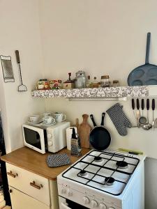 梅图耶河畔新城Slunný byt s krásným výhledem的厨房配有炉灶和微波炉。