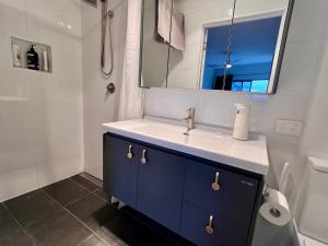 霍巴特Hobart View的一间带水槽和镜子的浴室