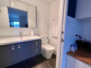 霍巴特Hobart View的一间带水槽、卫生间和镜子的浴室