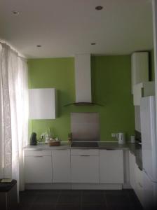 奥尔良切斯尤杜思公寓 的厨房设有绿色的墙壁和白色的橱柜。