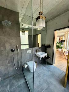 伯尔尼SONNEN Loft Bern - Bed & Breakfast的带淋浴、卫生间和盥洗盆的浴室