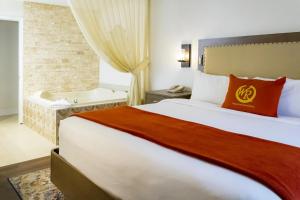 拉斯维加斯WG Flamingo_Bay Resorts的酒店客房配有一张床和浴缸。
