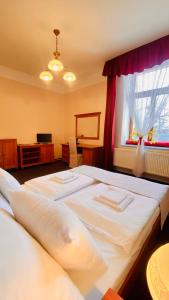 赫拉德茨 - 克拉洛韦塞尔尼昆膳食公寓的一间卧室设有两张床和窗户。