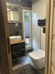RoxheimTiny House的浴室配有白色卫生间和盥洗盆。