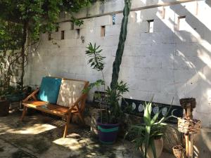 巴利亚多利德El Callejón的坐在墙上的椅子,有植物