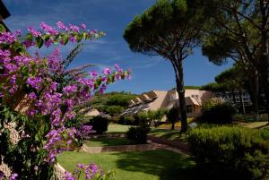 蓬塔阿拉斯可雷托50住宅酒店的种有粉红色花卉和树木的花园