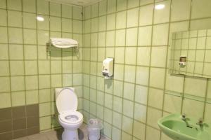 中坜宝山假期旅馆的一间带卫生间和水槽的浴室