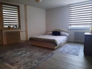 布戈伊诺Apartment Lamele Bugojno的一间卧室设有床、两个窗户和地毯。