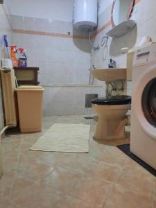 布戈伊诺Apartment Lamele Bugojno的一间带卫生间和洗衣机的浴室