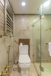 巴库Passage Art Hotel的一间带卫生间和玻璃淋浴间的浴室