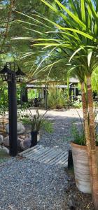 La Consulta芬卡拉普埃布拉酒店的花园里的棕榈树,大锅