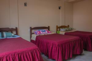 塔里哈Residencial Tablada的带3张床和粉红色毯子的房间