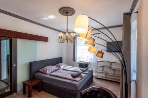 大舍瑙Villa Hänsch Suite 1的一间卧室配有一张床和一个吊灯