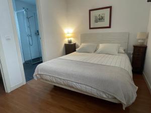 塞维利亚Apartamento céntrico Plaza del Salvador的一间卧室设有一张大床和淋浴