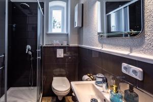 大舍瑙Villa Hänsch Suite 3的一间带水槽、卫生间和镜子的浴室