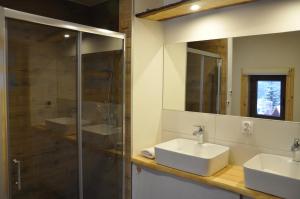 拉伊恰Cataleya Rajcza的浴室设有2个盥洗盆、淋浴和镜子。