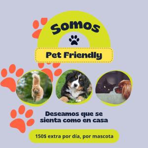 梅塞德斯La Baquiana 2的宠物友好网站的图片