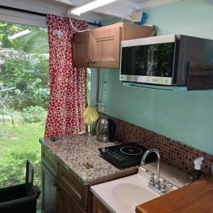 凯阿奥Studio的厨房配有水槽、微波炉和窗户