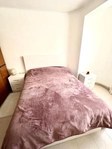 巴塞罗那3 bedrooms flat near of the beach的一间卧室配有一张大床和紫色毯子
